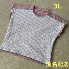大きいサイズ　レディース　ミセス　トップス　カットソー　半袖Tシャツ レース