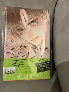 お姉ちゃんの翠ちゃん　10巻