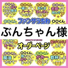 ぶんちゃん様　専用　カンペうちわ