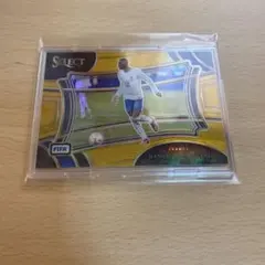 Panini Select サッカーカード KOLO MUANI 10枚限定
