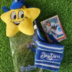 ベイスターズ　チケットホルダー　リストバンド　ほっしーくんのサムネイル