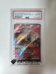 2026年最新】ガチグマ アカツキex SAR SV8a 225/187 PSA10の人気