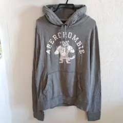 Abercrombie & Fitch パーカー グレー