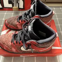 Nike レッド ブラック ハイカットスニーカー