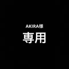 AKIRA様専用ページ
