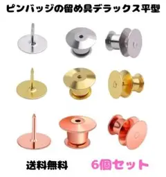 (Q10)ピンバッジのキャッチ留め具＆ピン☆デラックスひら型　6個