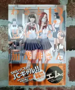 『わざと見せてる? 加茂井さん。 13』 初版帯付　25/10