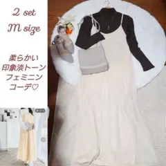 2点セット 淡トーン上品大人フェミニンセット コーデ売り まとめ売り
