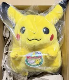 ポケットモンスター ポケモン30周年記念 おかえり！ピカチュウ1/1