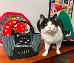 猫デザイン ハンドバッグ トートバッグ 新品未使用 可愛い ストライプ