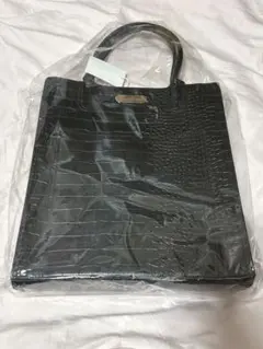 Item thumbnail for item 45ce72ee-1026-4728-ac08-dc741fe4a2cd