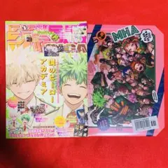 【新品未使用】ジャンプGIGA2024SPRING ヒロアカ 表紙+クリアケース