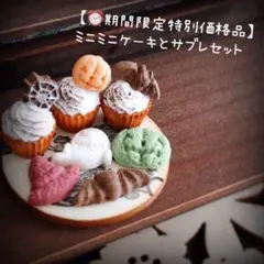 【⏰期間限定特別価格品】 ミニミニケーキとサブレセット　ミニチュアスイーツ
