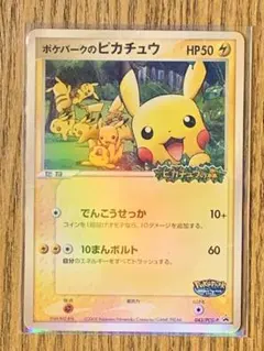 2026年最新】ポケパークのピカチュウの人気アイテム - メルカリ