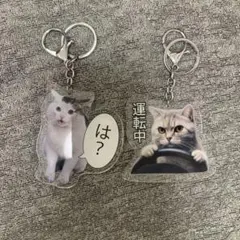 猫ミームキーホルダー　2個セット
