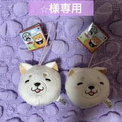 【新品】２個セット！　忠犬もちしば　フェイスマスコット　白