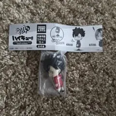 黒尾鉄朗 こっちむいてFig. vol.2