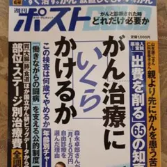 Item thumbnail for item 49072062-d3b5-4171-accf-96f4b0e7a6b6