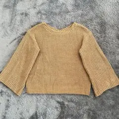 【美品】アースミュージック＆エコロジー セーター ニット 2way ショート丈