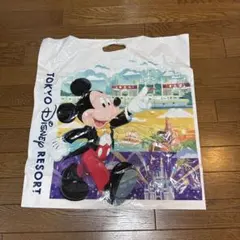 東京ディズニーリゾート ビッグショップ袋 ショッパー ミッキー ミニーのサムネイル