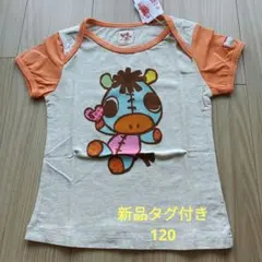 Item thumbnail for item 6b91235f-3ecd-43b5-b035-baf2eea13bbe