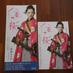 非売品 八重の桜 ポストカード 折りたたみチラシ セット 綾瀬はるか 大河ドラマ