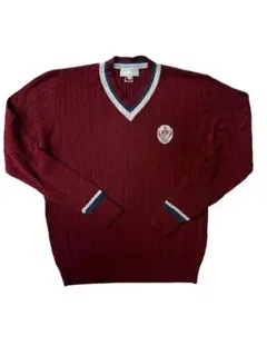 zoy/ゾーイ　セーター　Vネック　赤　上品