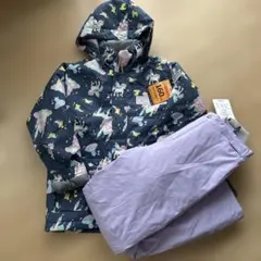 Item thumbnail for item 6e91f3fb-adfe-402f-8274-817d7228958a