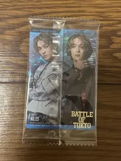 BOT ウエハース カード バリ 砂田将宏