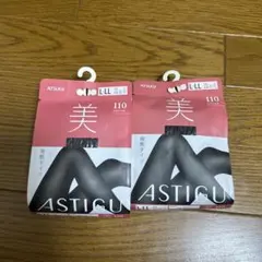 ATSUGI 110デニール　タイツ　Ｌ〜ＬＬ