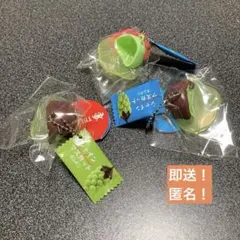 即送！【3つセット】シャインマスカットボンボン　ミニチュアマスコット