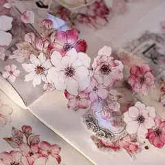 【Xi92】小白家 / 桃夭 pet 1ループ 120cm
