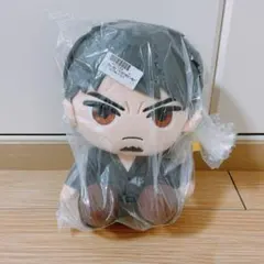 2026年最新】龍が如く ぬいぐるみ 桐生の人気アイテム - メルカリ