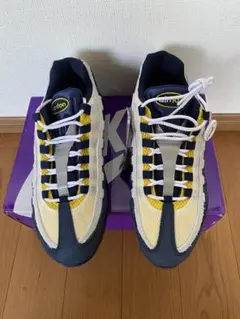 shinji様専用 EricKoston × Nike SB AirMax95