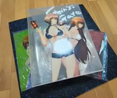 特製小冊子『STEINS;GATE公式ファンブック』 非売品 抽選200名 - メルカリ