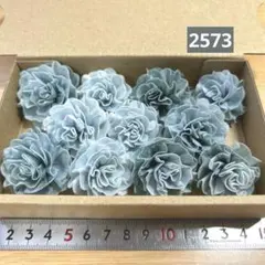 ソラフラワー　2573