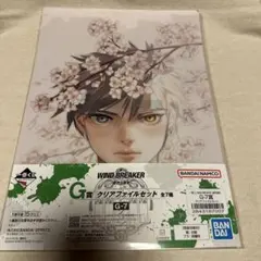 WINDBREAKER原作5周年一番くじ G賞クリアファイルG-7 - メルカリ