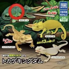 Item thumbnail for item b70473b9-91bd-4b71-b238-68ba84ed1b5e