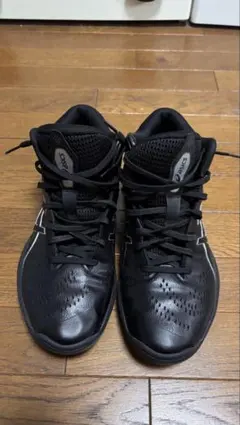 2026年最新】バスケットシューズ アシックス ゲルフープv16の人気