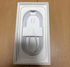 正規品 Apple タイプC 充電器 急速 純正品