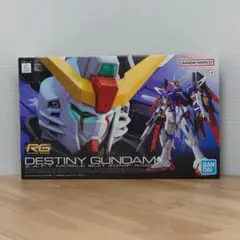 RG デスティニーガンダム（新品/未組立品）