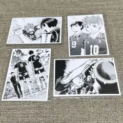 ハイキュー 10th クロニクル 思い出スナップフォトカード 日向 影山 セット
