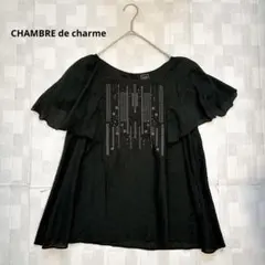 シャンブルドゥシャーム シルク混 繊細刺繍＆ビーズブラウス F 黒のサムネイル