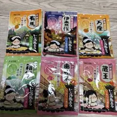 いい湯旅立ち 雪見にごり湯の宿 入浴剤 6包セット⑧のサムネイル