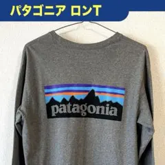 patagonia パタゴニア ロングスリーブTシャツ グレー