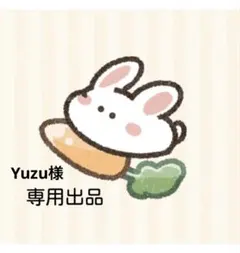 Yuzu様　専用出品