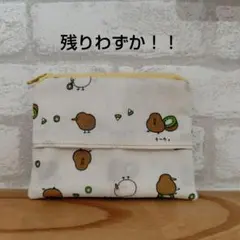 キーウィ柄のティッシュポーチ