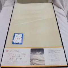 Item thumbnail for item 0c72ceea-1695-4d01-86b1-69378d1b4981