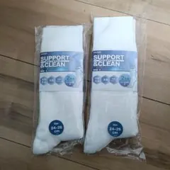 GUNZE(グンゼ)サポートクリーン メンズ ソックス 2足組×2FE0102