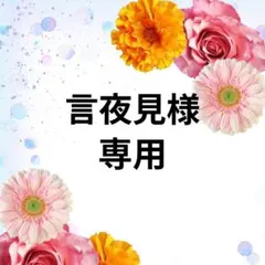 言夜見様 リクエスト 3点 まとめ商品